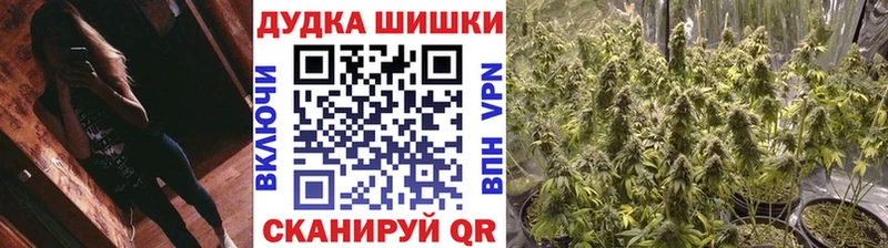 Купить закладку Бошки Шишки  Cocaine  СК  Меф  Бодайбо