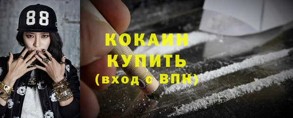мет Арсеньев